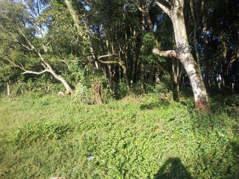 Sítio à venda de 15 ha em Capela do Alto, SP, Brasil