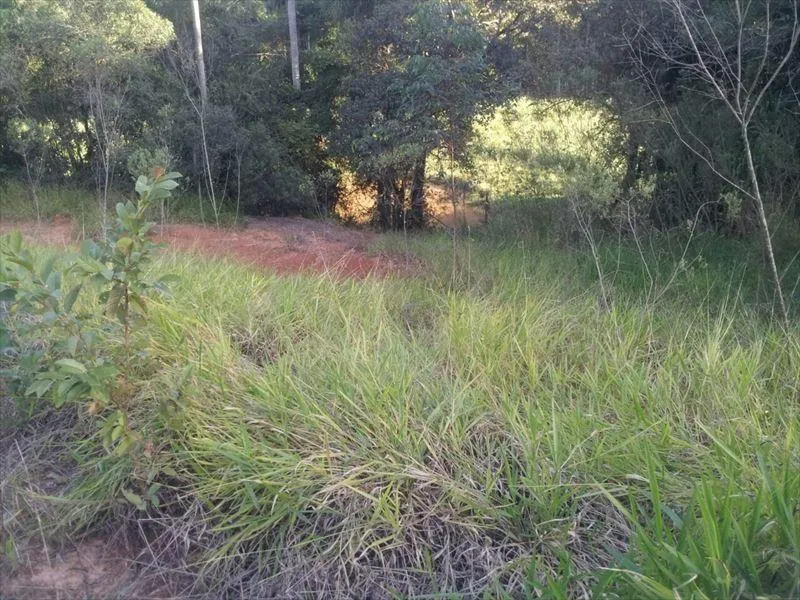Sítio à venda de 15 ha em Capela do Alto, SP, Brasil