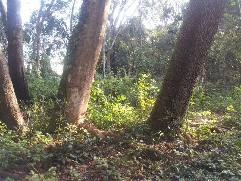 Sítio à venda de 15 ha em Capela do Alto, SP, Brasil