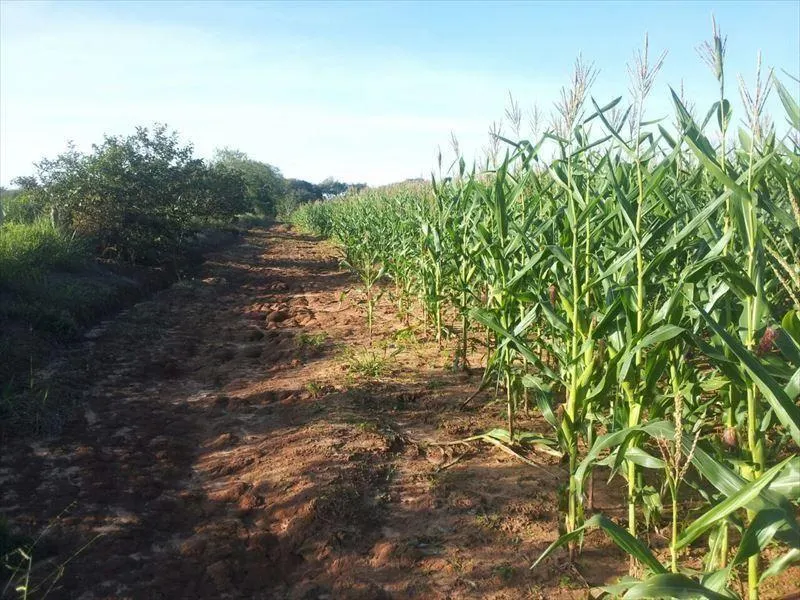 Sítio à venda de 15 ha em Capela do Alto, SP, Brasil
