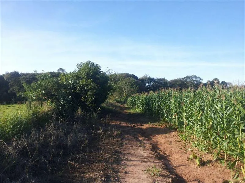 Sítio à venda de 15 ha em Capela do Alto, SP, Brasil