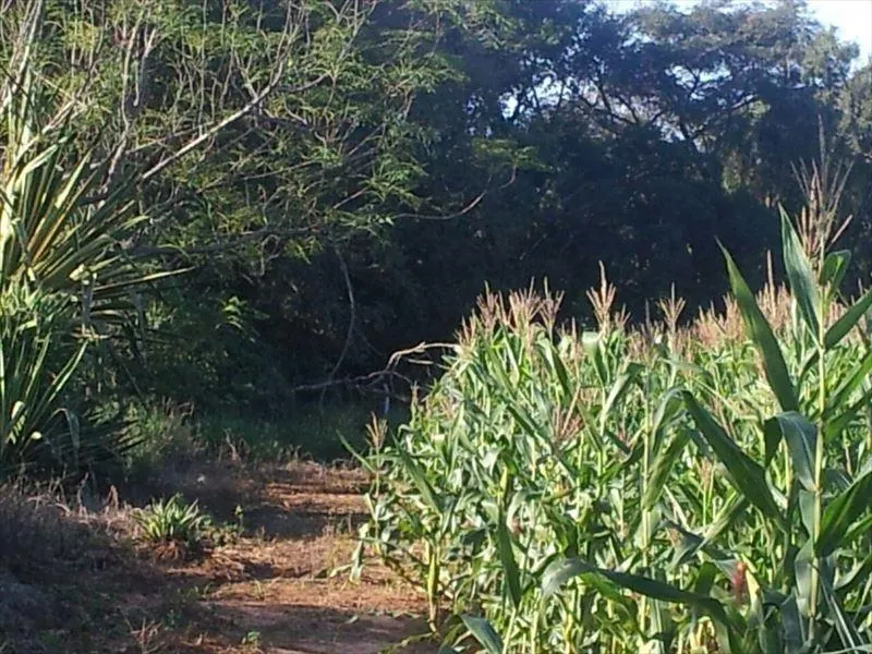 Sítio à venda de 15 ha em Capela do Alto, SP, Brasil