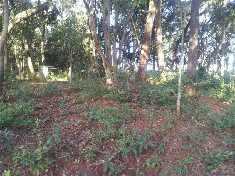Sítio à venda de 15 ha em Capela do Alto, SP, Brasil