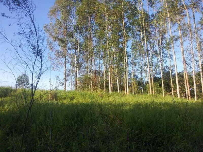 Sítio à venda de 15 ha em Capela do Alto, SP, Brasil