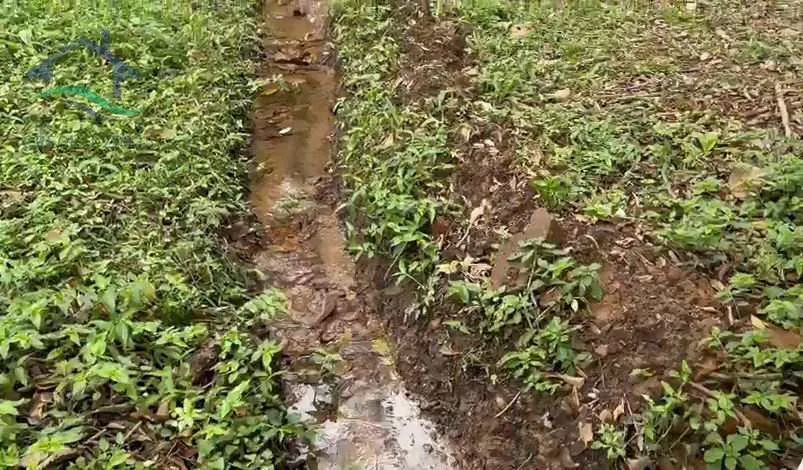 Sítio à venda de 15 ha em Piracaia, SP, Brasil