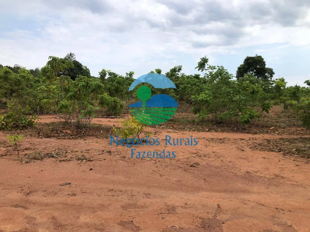 Fazenda à venda de 484 ha em São Valério da Natividade, TO, Brasil