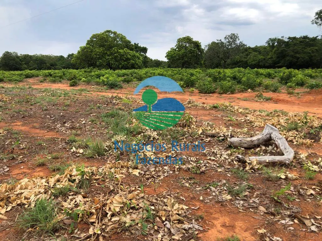 Fazenda à venda de 484 ha em São Valério da Natividade, TO, Brasil
