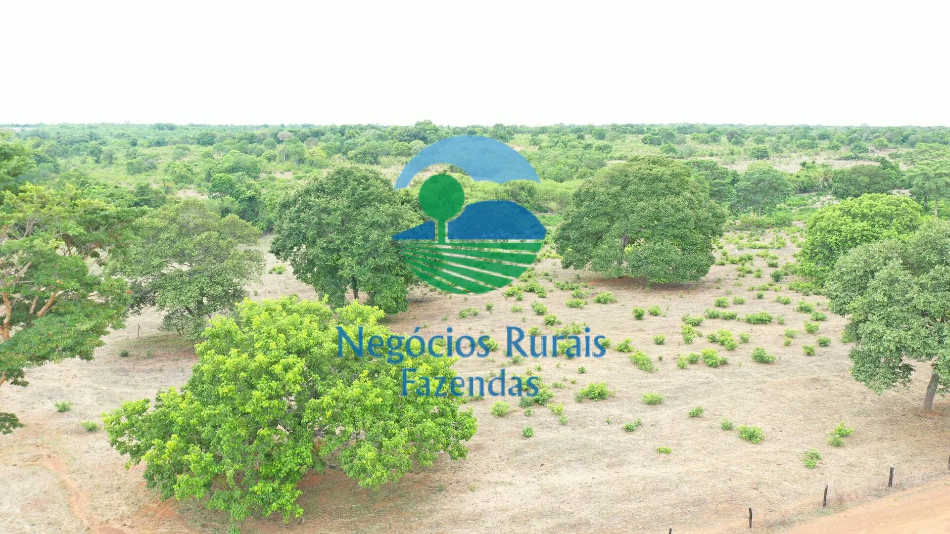 Fazenda à venda de 484 ha em São Valério da Natividade, TO, Brasil