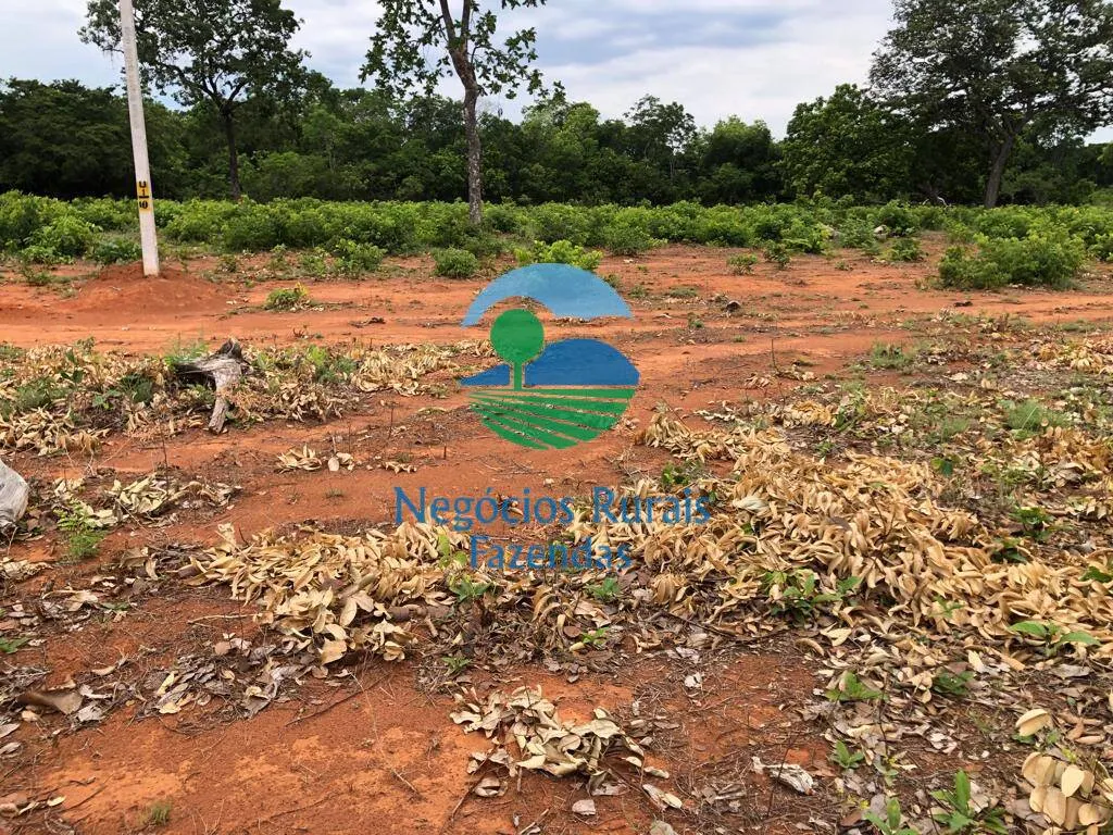 Fazenda à venda de 484 ha em São Valério da Natividade, TO, Brasil