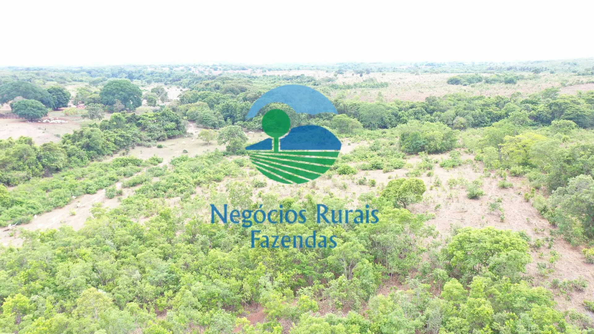 Fazenda à venda de 484 ha em São Valério da Natividade, TO, Brasil