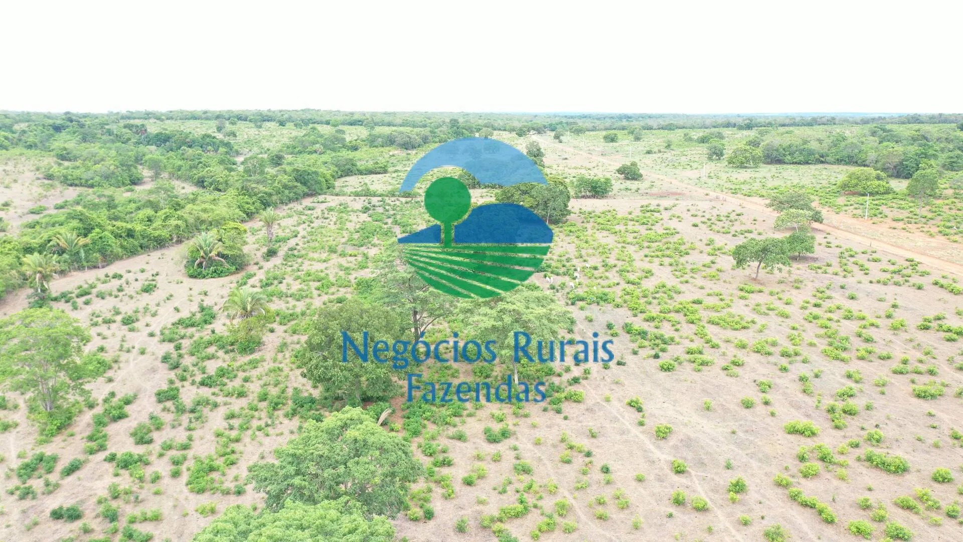 Fazenda à venda de 484 ha em São Valério da Natividade, TO, Brasil