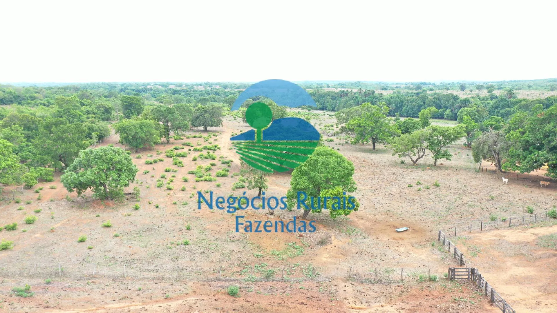 Fazenda à venda de 484 ha em São Valério da Natividade, TO, Brasil