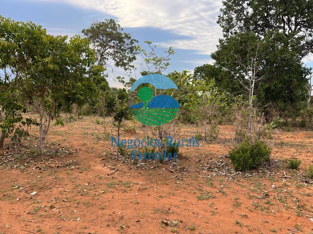 Fazenda à venda de 484 ha em São Valério da Natividade, TO, Brasil