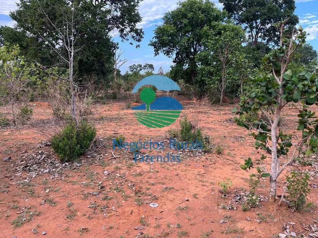 Fazenda à venda de 484 ha em São Valério da Natividade, TO, Brasil