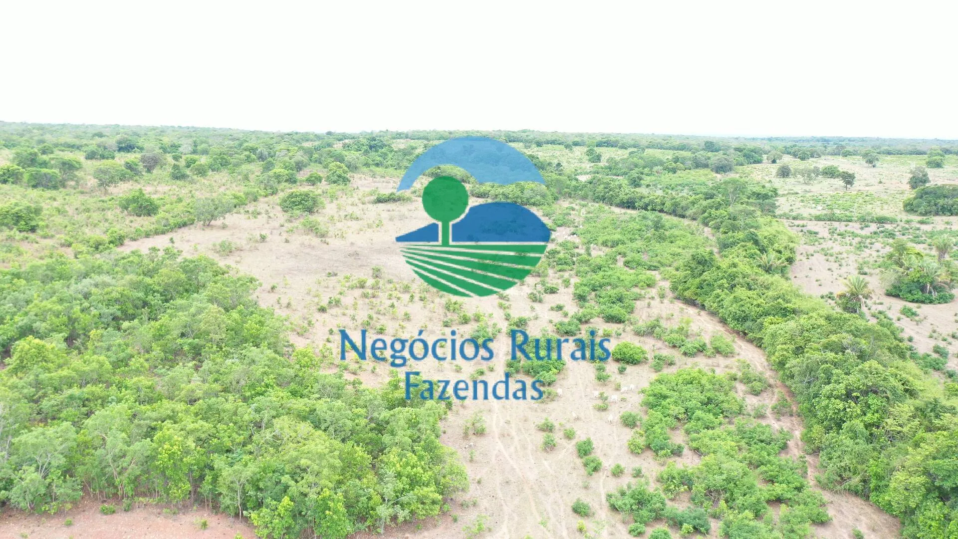 Fazenda à venda de 484 ha em São Valério da Natividade, TO, Brasil