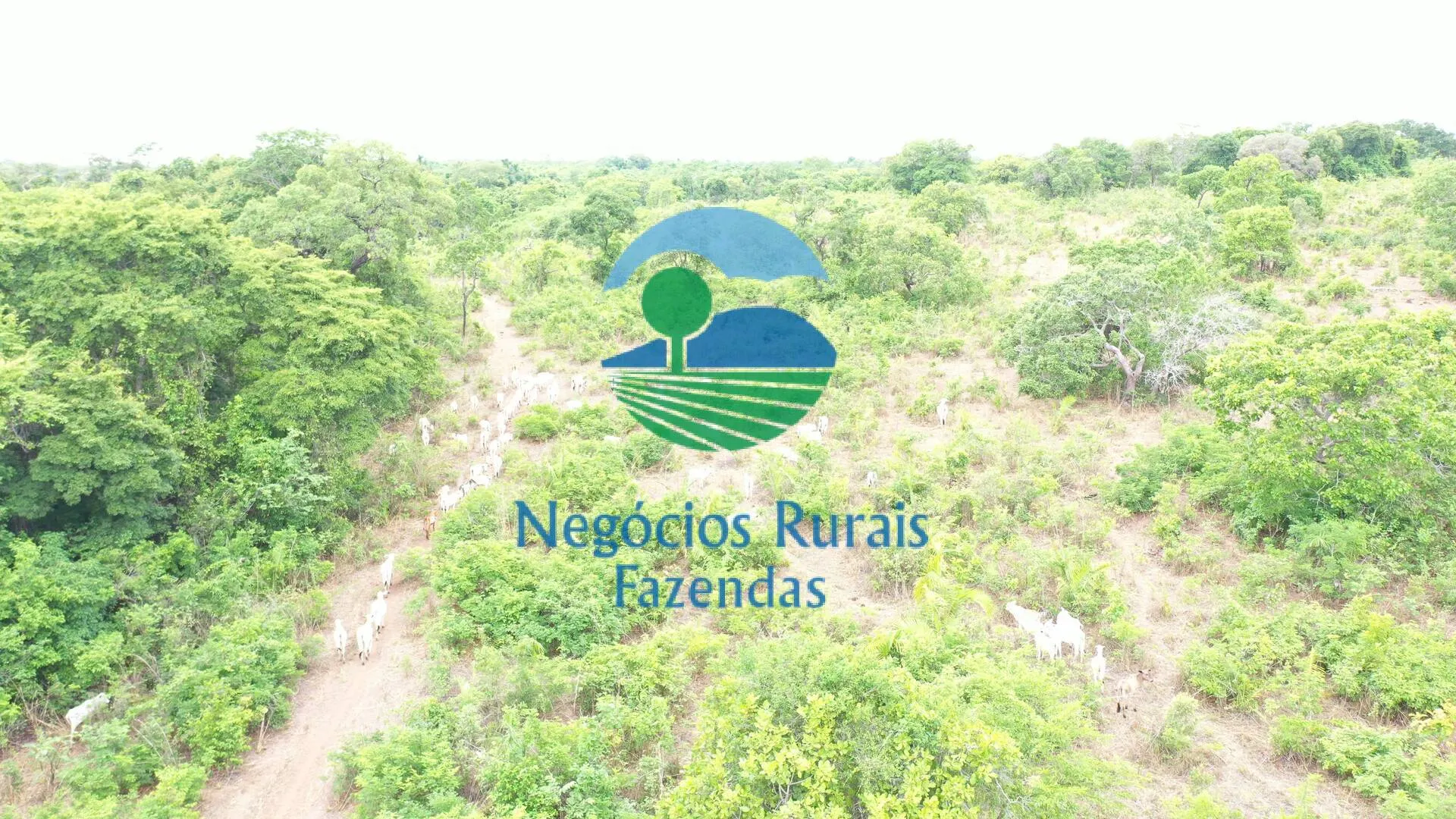 Fazenda à venda de 484 ha em São Valério da Natividade, TO, Brasil