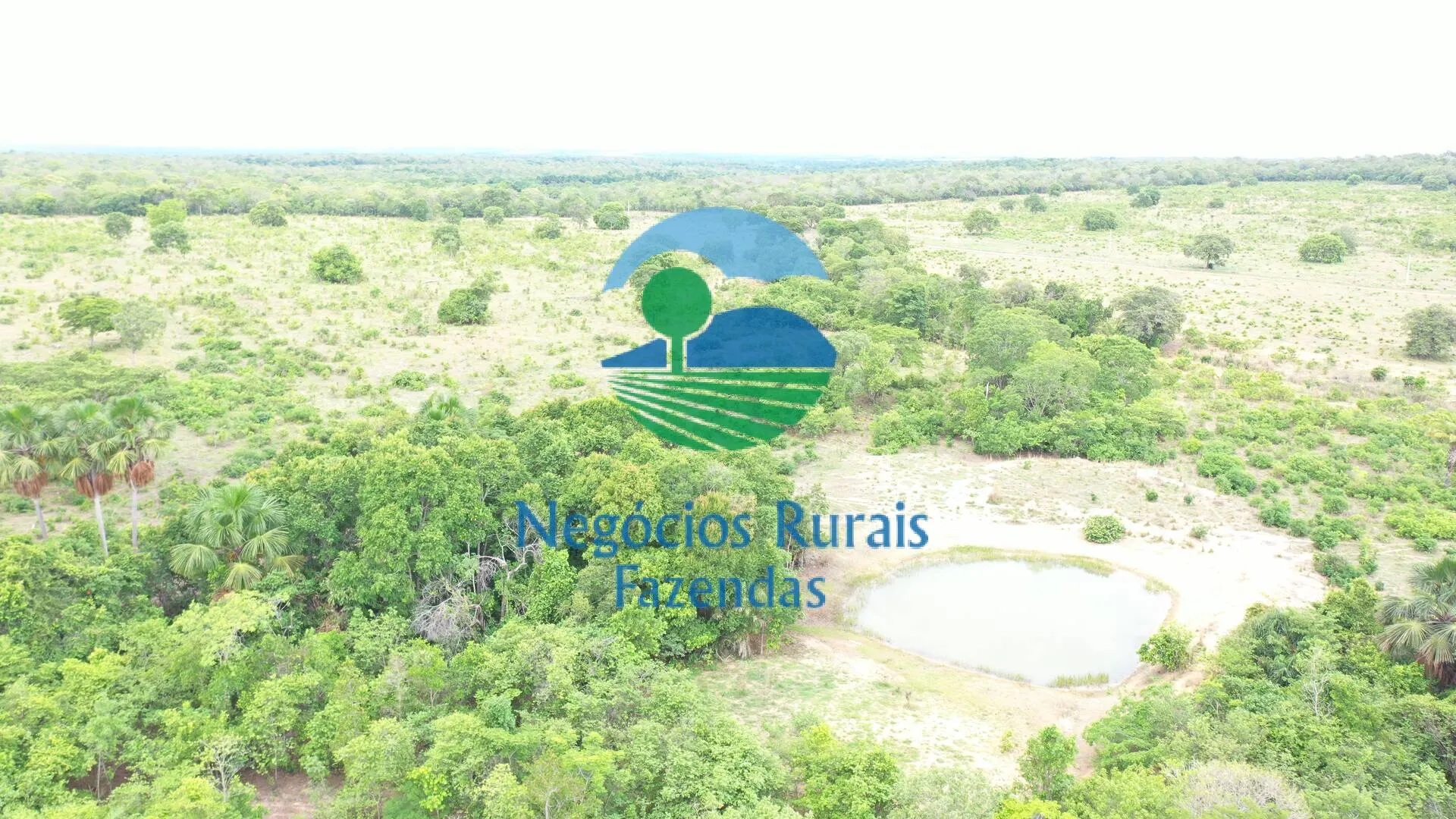 Fazenda à venda de 484 ha em São Valério da Natividade, TO, Brasil