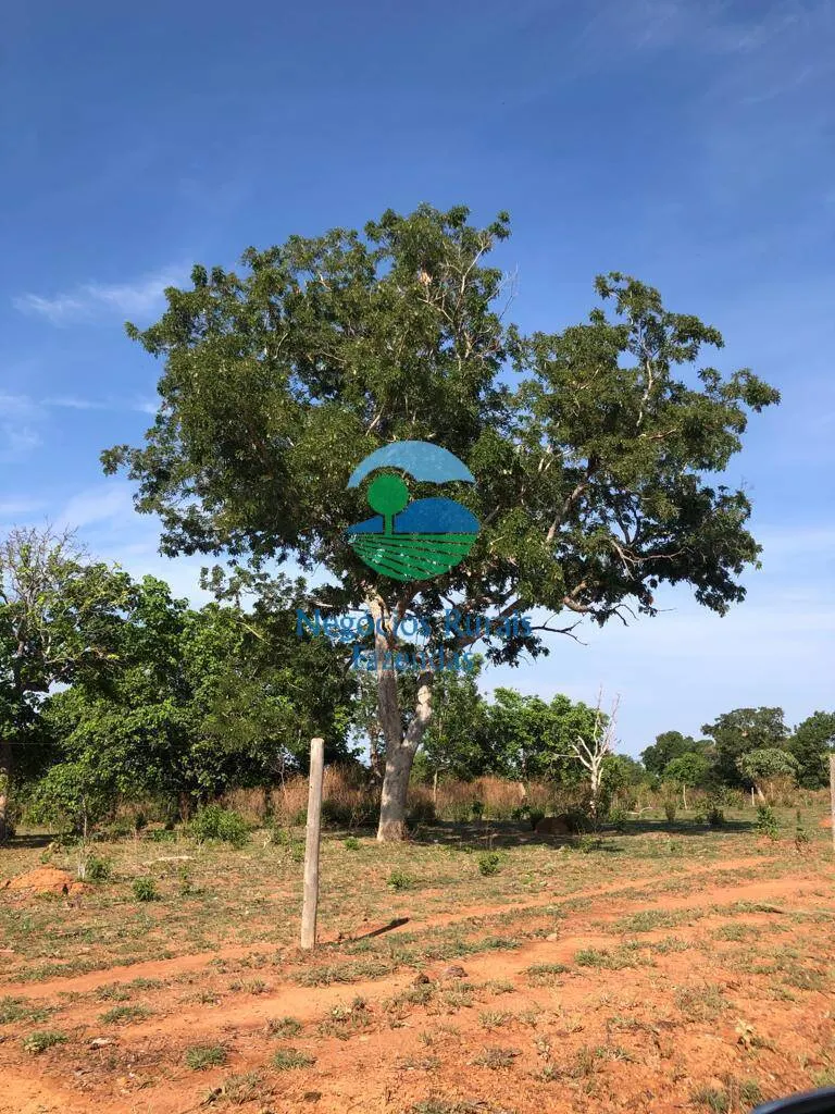 Fazenda à venda de 484 ha em São Valério da Natividade, TO, Brasil