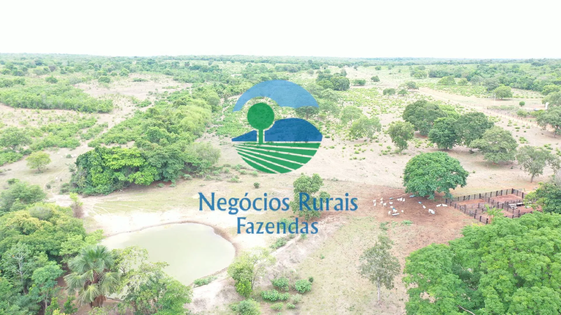 Fazenda à venda de 484 ha em São Valério da Natividade, TO, Brasil