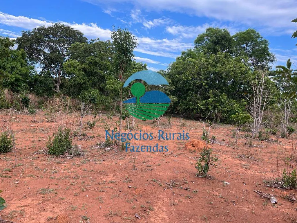 Fazenda à venda de 484 ha em São Valério da Natividade, TO, Brasil