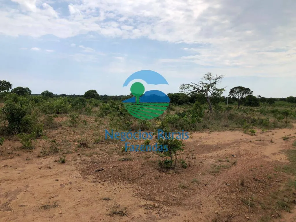 Fazenda à venda de 484 ha em São Valério da Natividade, TO, Brasil