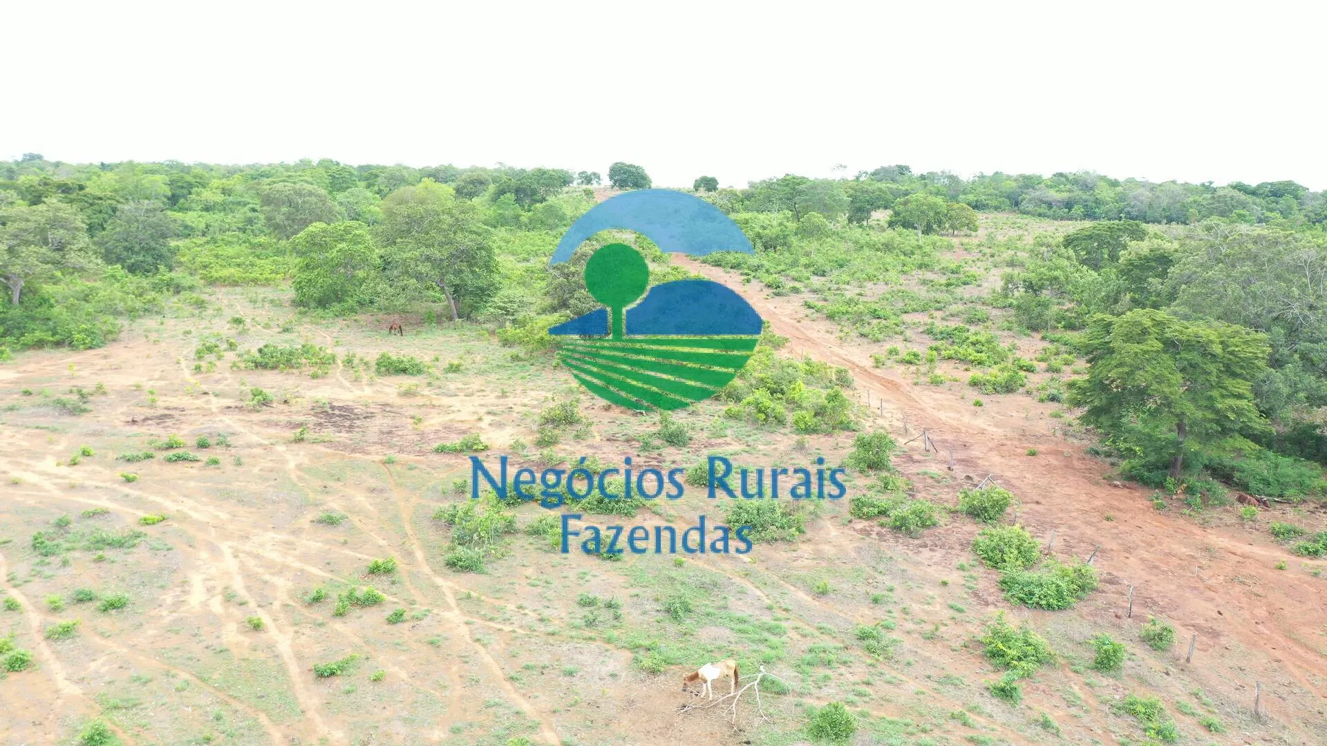 Fazenda à venda de 484 ha em São Valério da Natividade, TO, Brasil