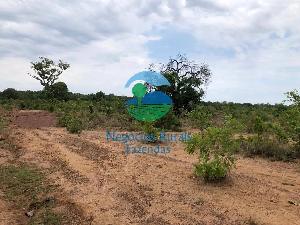 Fazenda à venda de 484 ha em São Valério da Natividade, TO, Brasil