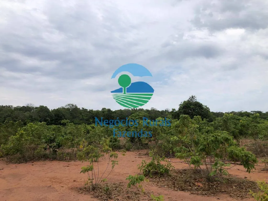 Fazenda à venda de 484 ha em São Valério da Natividade, TO, Brasil