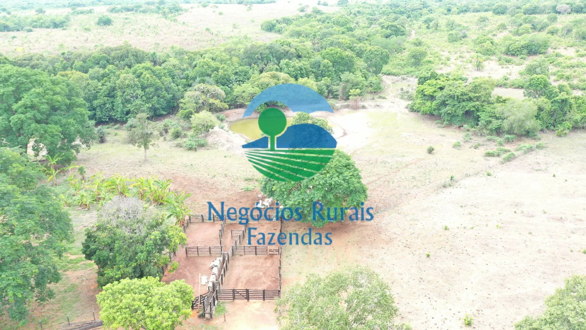 Fazenda à venda de 484 ha em São Valério da Natividade, TO, Brasil