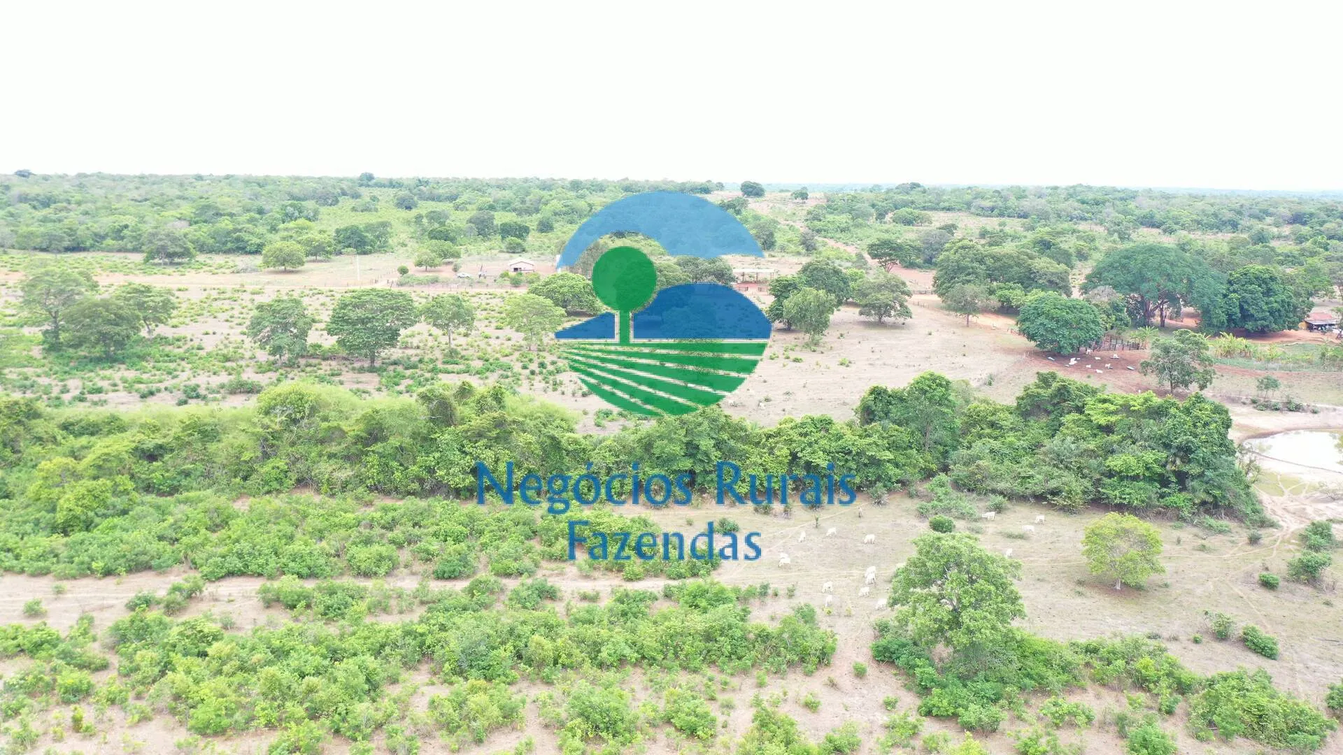 Fazenda à venda de 484 ha em São Valério da Natividade, TO, Brasil