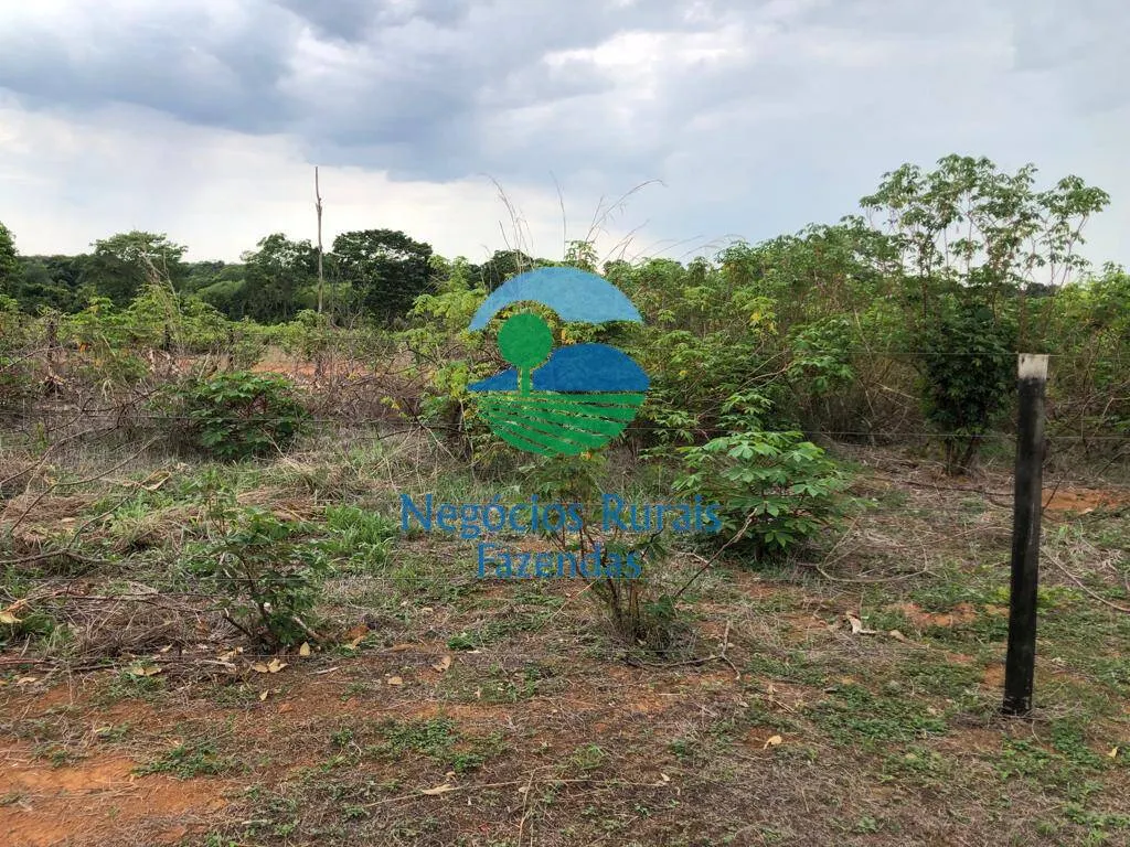 Fazenda à venda de 484 ha em São Valério da Natividade, TO, Brasil