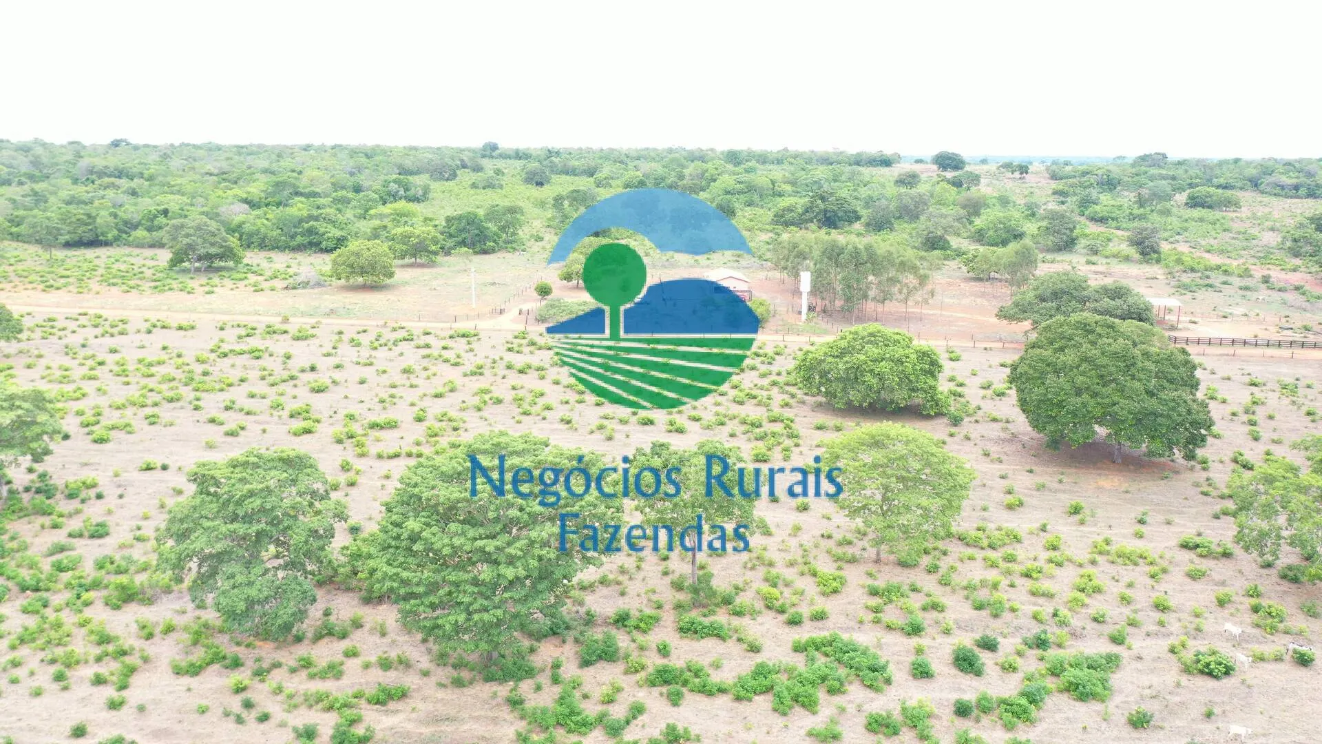 Fazenda à venda de 484 ha em São Valério da Natividade, TO, Brasil