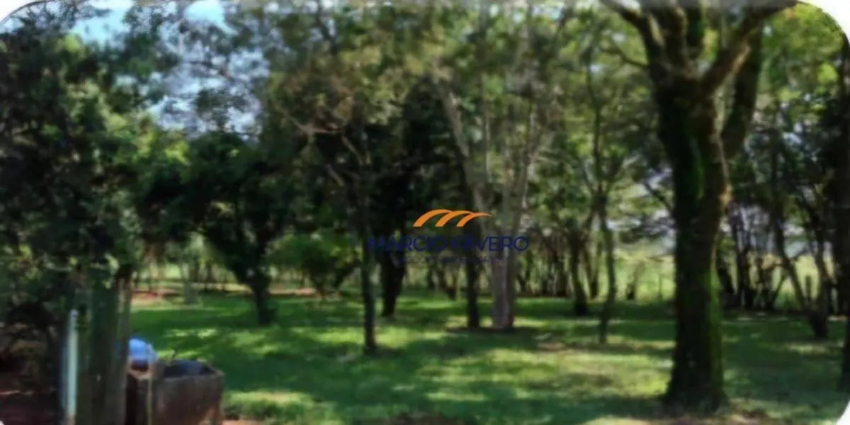 Fazenda à venda de 3.417 ha em Rancharia, SP, Brasil