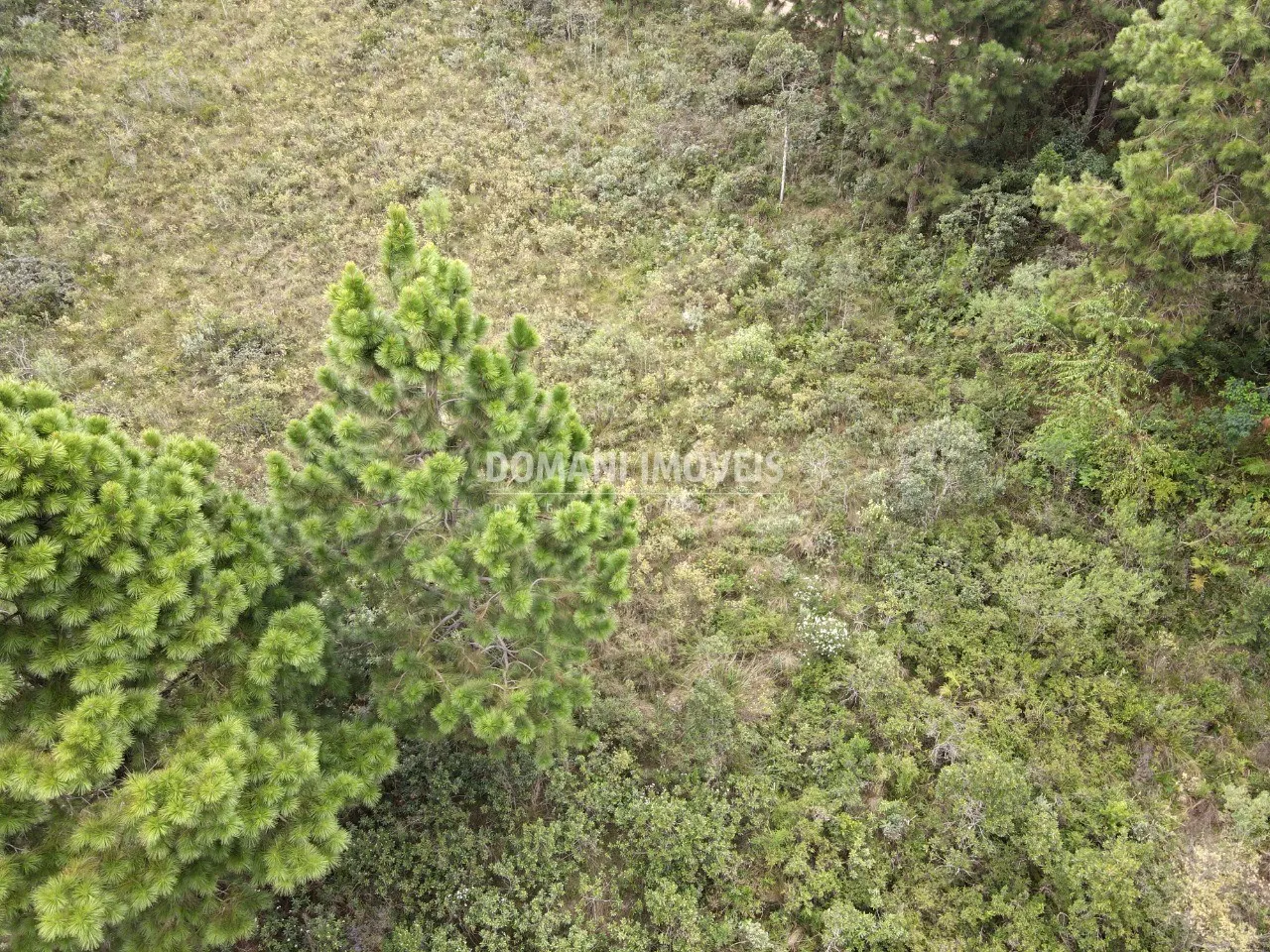 Plot for sale of 3,030 m² in Campos do Jordão, SP, Brazil