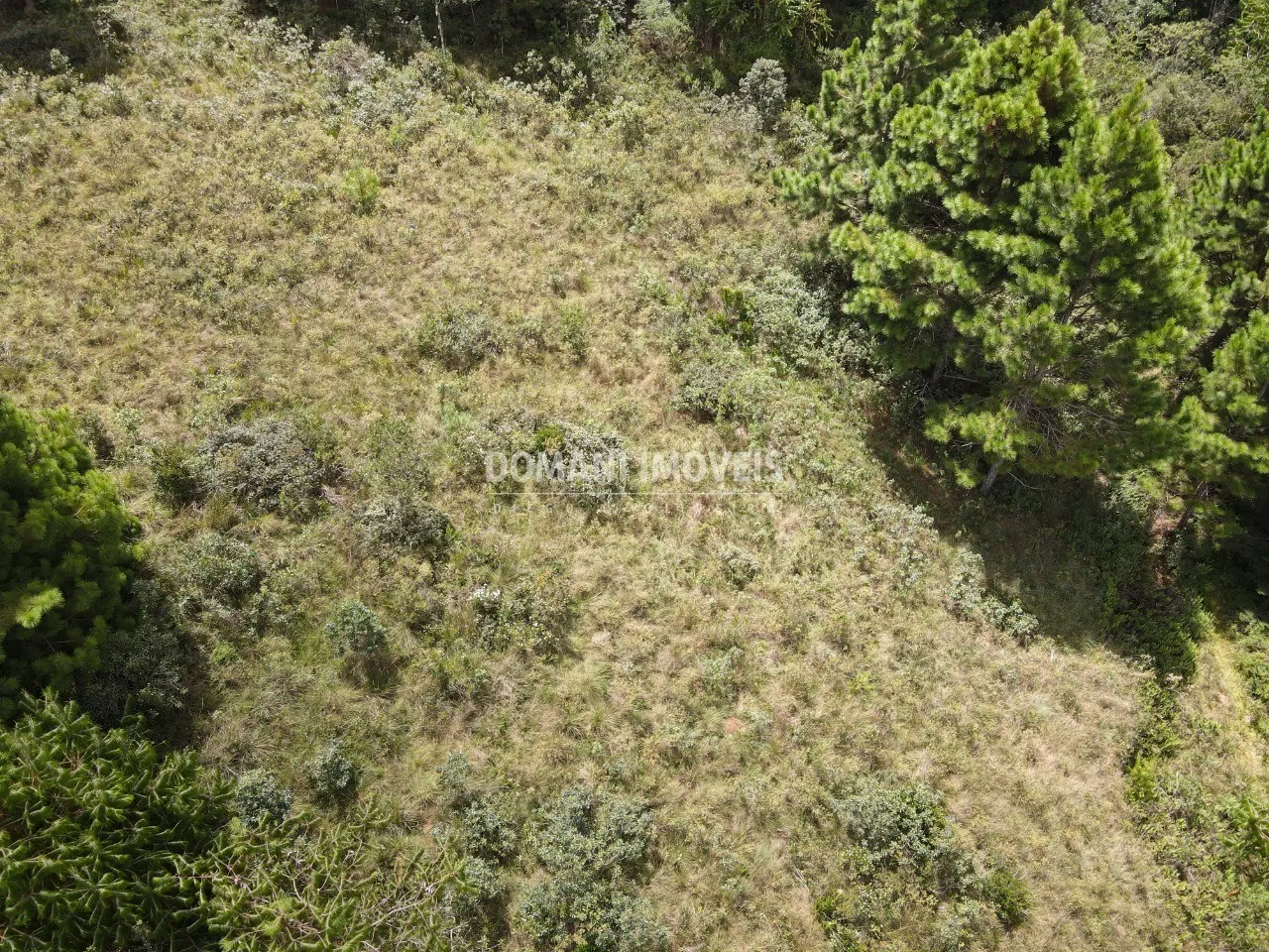 Plot for sale of 3,030 m² in Campos do Jordão, SP, Brazil