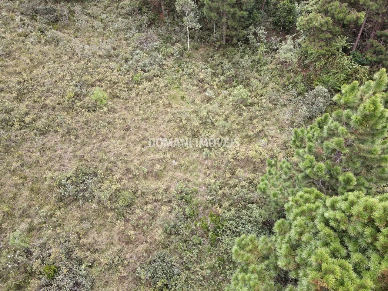 Plot for sale of 3,030 m² in Campos do Jordão, SP, Brazil