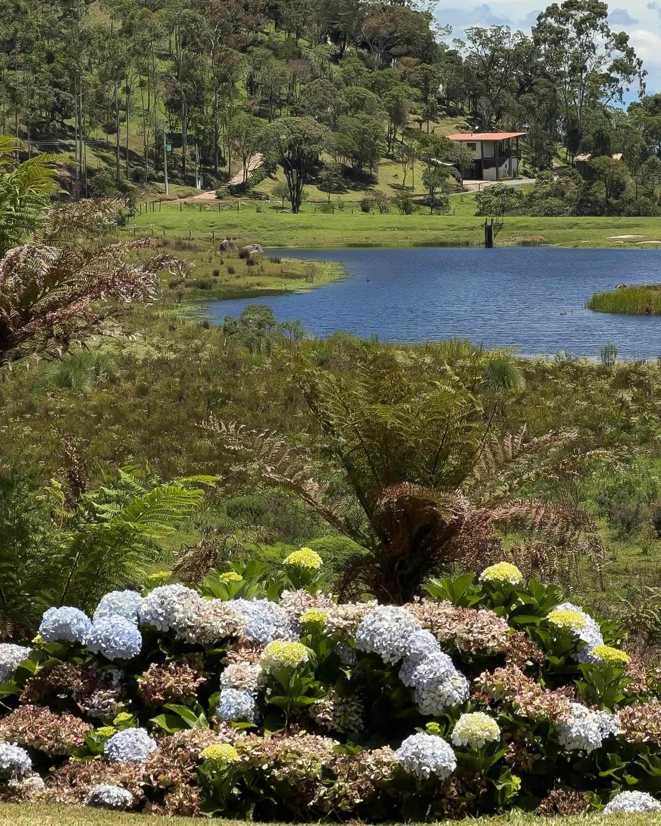Sítio à venda de 3 ha em Cunha, SP, Brasil