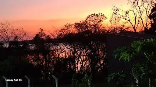 Fazenda à venda de 1.000 ha em Sales, SP, Brasil
