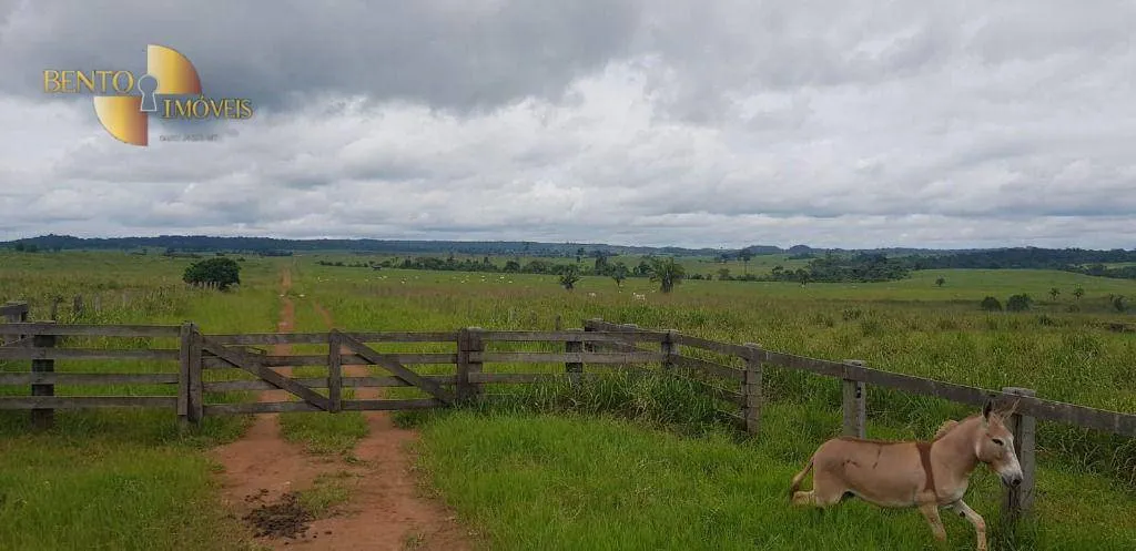 Fazenda à venda de 2.420 ha em Alta Floresta, MT, Brasil