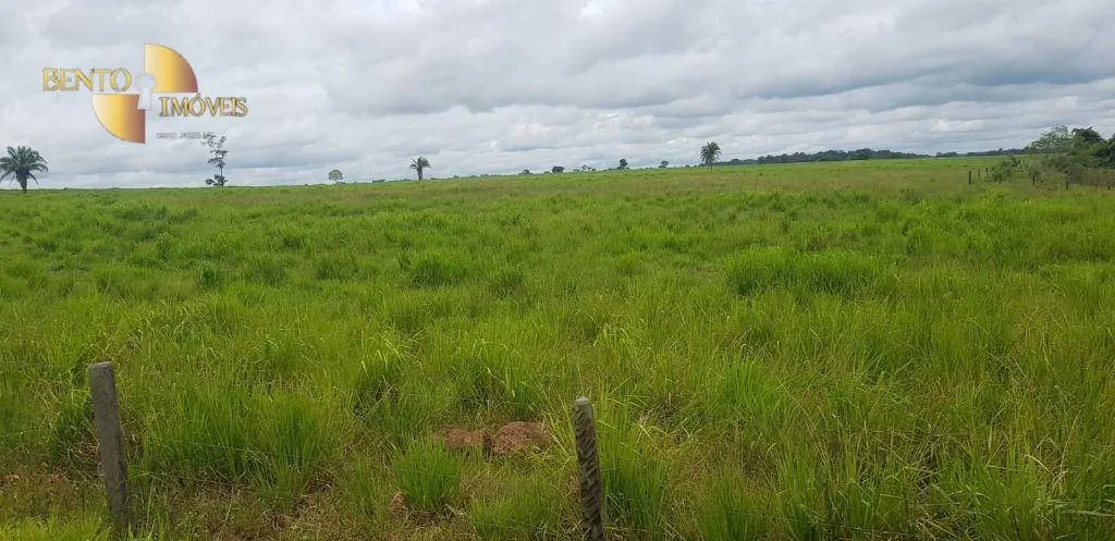 Fazenda à venda de 2.420 ha em Alta Floresta, MT, Brasil