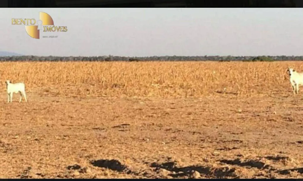 Fazenda à venda de 2.420 ha em Alta Floresta, MT, Brasil
