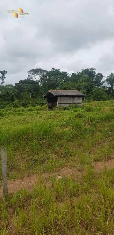 Fazenda à venda de 2.420 ha em Alta Floresta, MT, Brasil