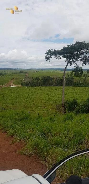 Fazenda à venda de 2.420 ha em Alta Floresta, MT, Brasil