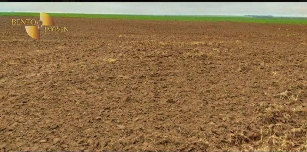 Fazenda à venda de 2.420 ha em Alta Floresta, MT, Brasil