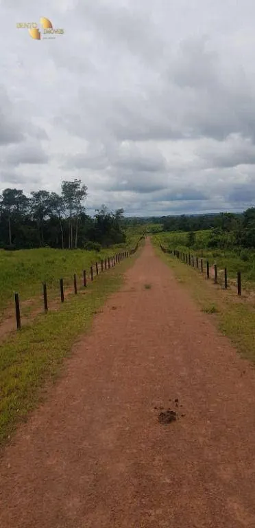 Fazenda à venda de 2.420 ha em Alta Floresta, MT, Brasil
