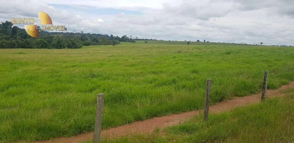Fazenda à venda de 2.420 ha em Alta Floresta, MT, Brasil