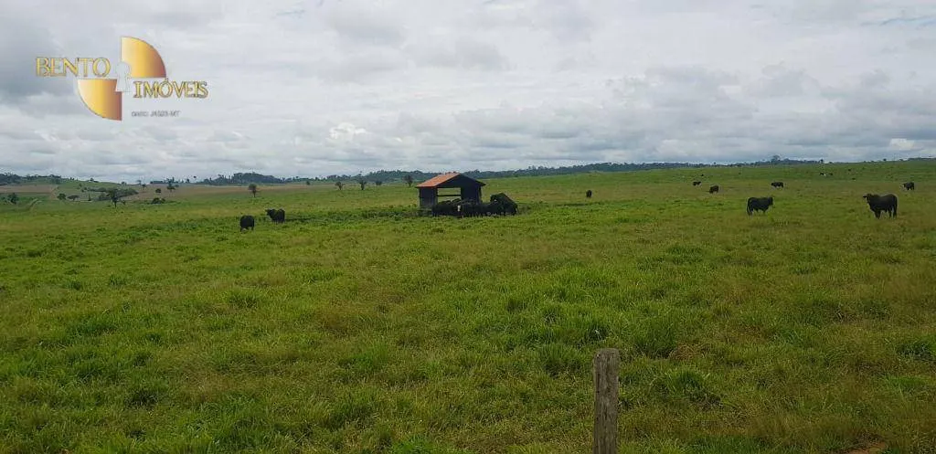 Fazenda à venda de 2.420 ha em Alta Floresta, MT, Brasil