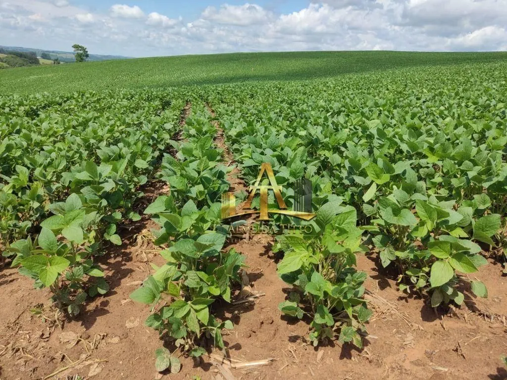 Fazenda à venda de 329 ha em Capão Bonito, SP, Brasil