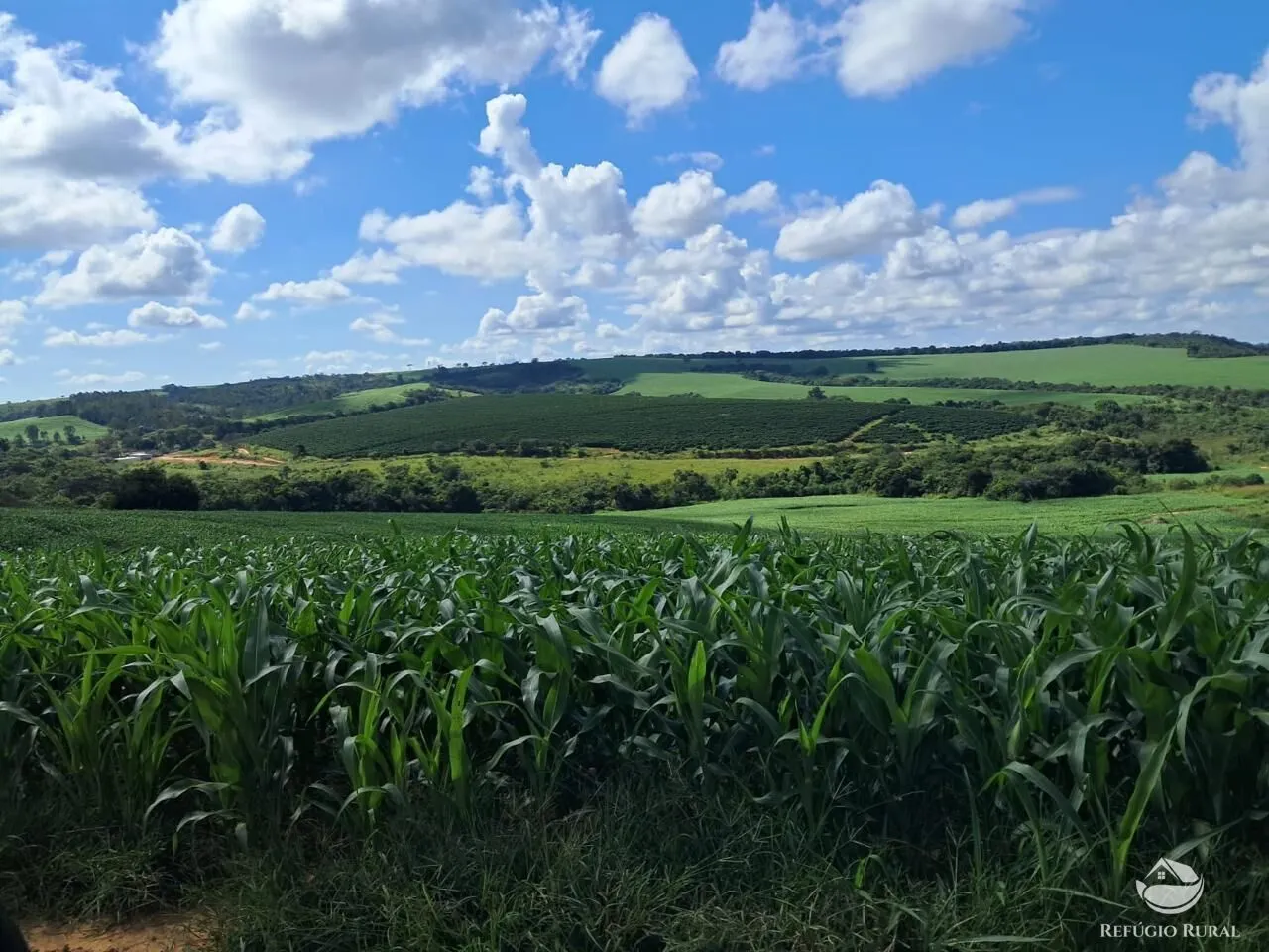 Fazenda à venda de 700 ha em Cristais, MG, Brasil