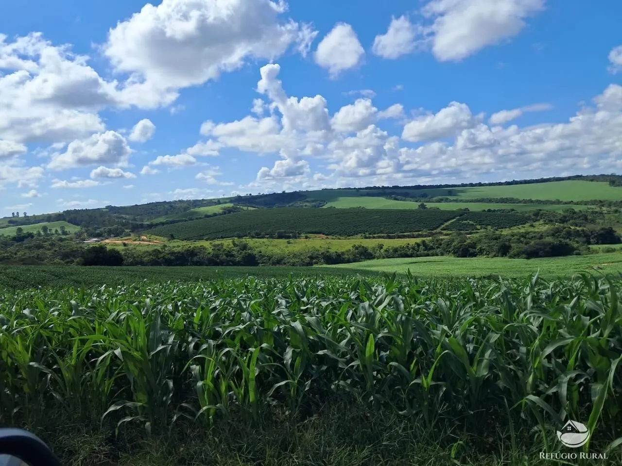 Fazenda à venda de 700 ha em Cristais, MG, Brasil
